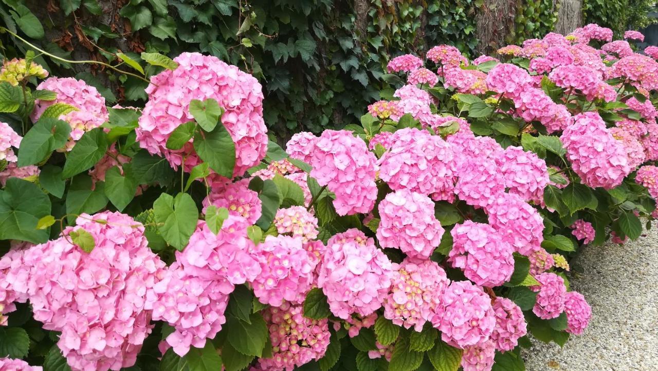 Villa Eugenie オンザン エクステリア 写真